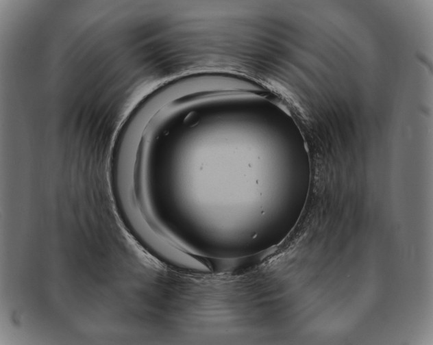 X0000091310942200708311354