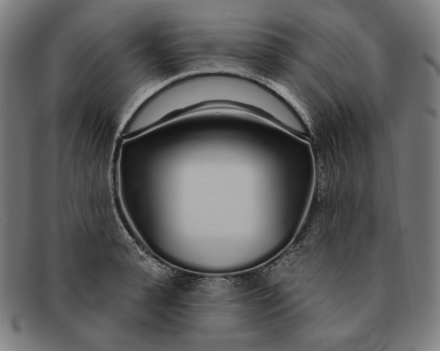 X0000091310943200708311354