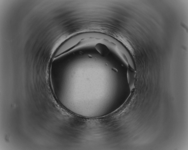 X0000091310944200708311354