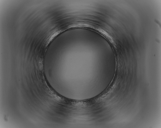 X0000091310945200708311354