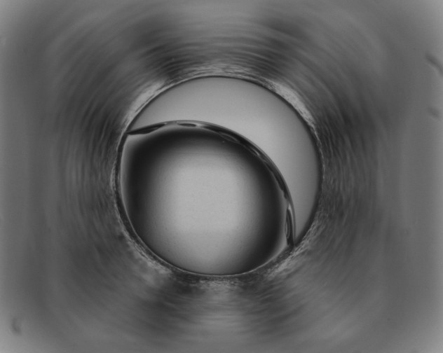 X0000091310946200708311354