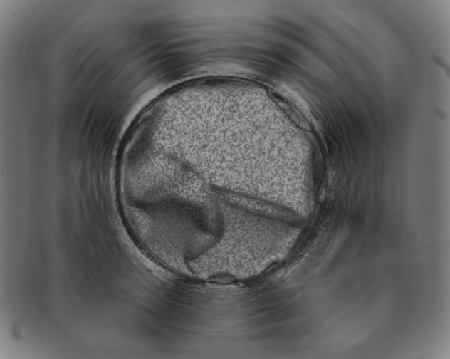 X0000091310947200708311354