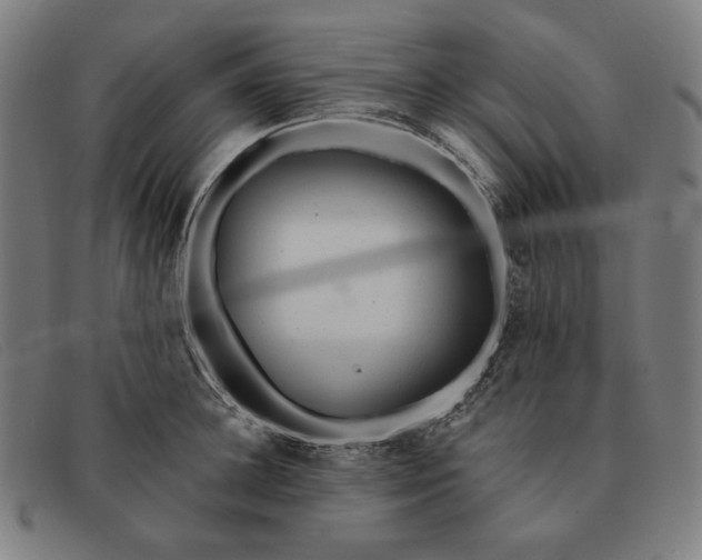 X0000091310948200708311354