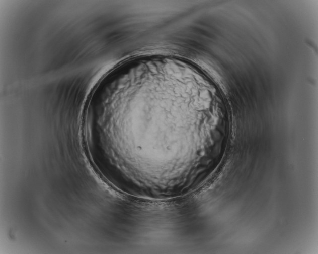 X0000091310949200708311354