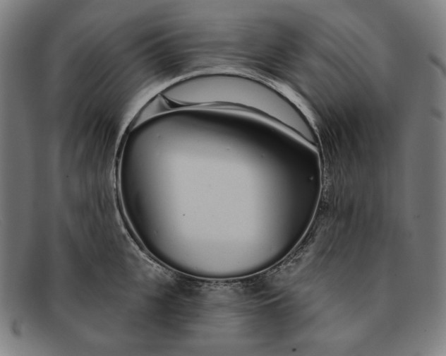 X0000091310951200708311354