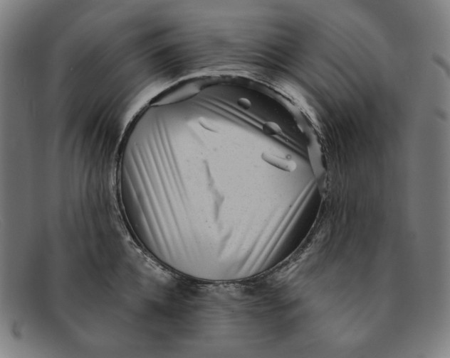 X0000091310952200708311354