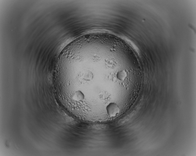 X0000091310953200708311354