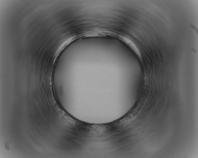 X0000091310954200708311354