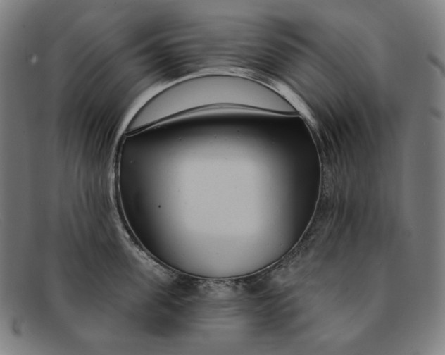 X0000091310955200708311354