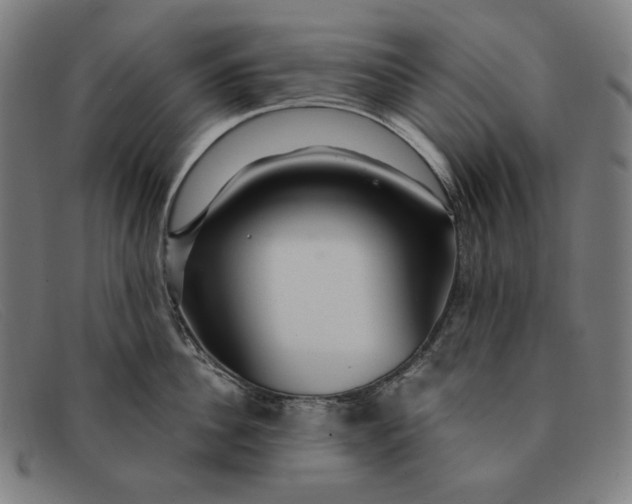 X0000091310956200708311354