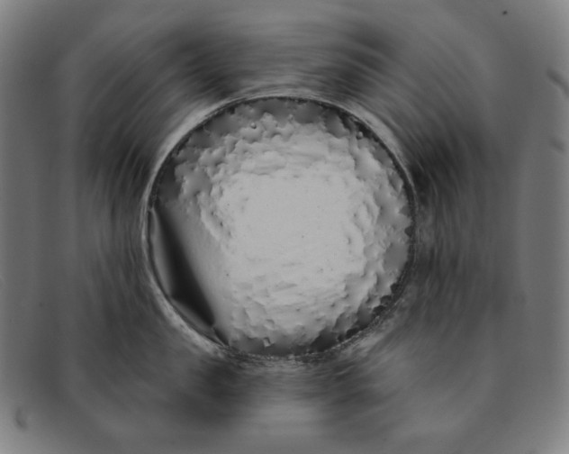 X0000091310957200708311354