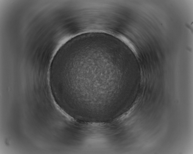 X0000091310958200708311354