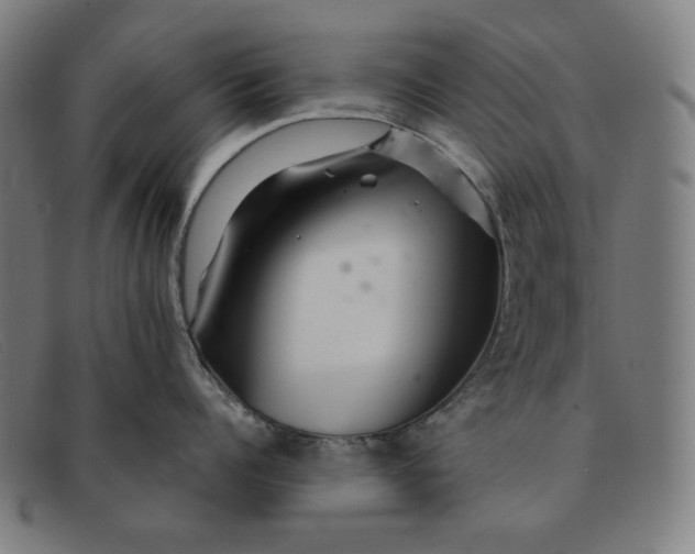 X0000091310960200708311354