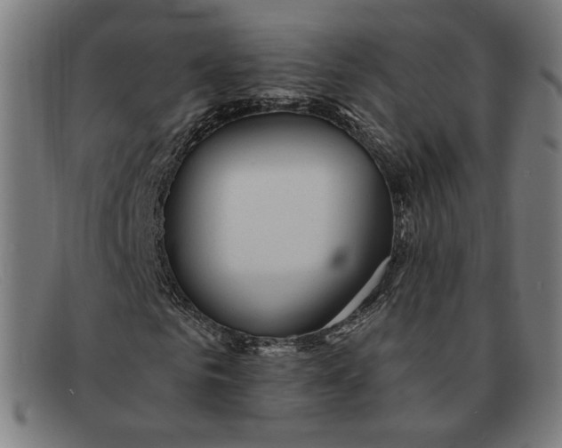 X0000091310961200708311353