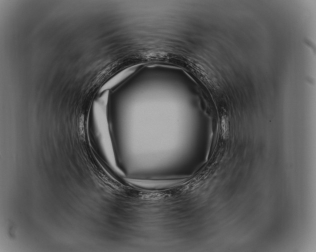 X0000091310963200708311353