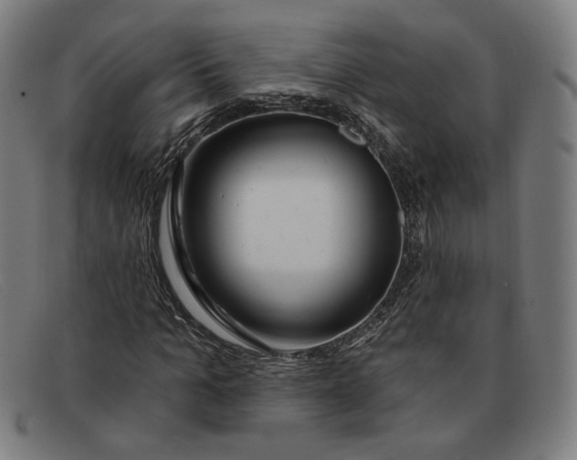 X0000091310965200708311353