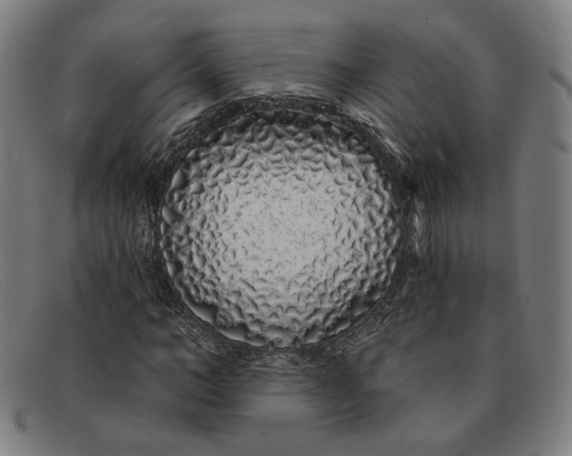 X0000091310966200708311353