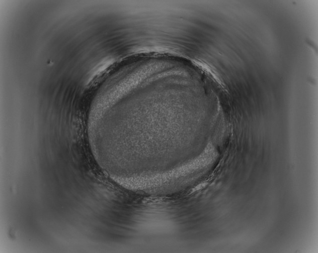 X0000091310967200708311353