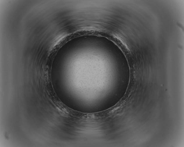 X0000091310968200708311353