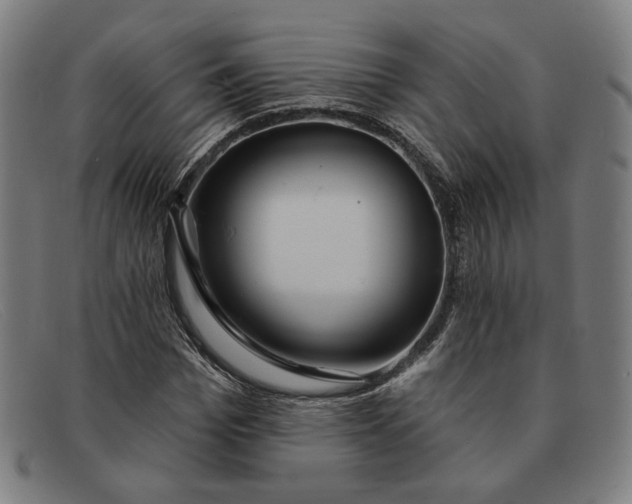 X0000091310969200708311353