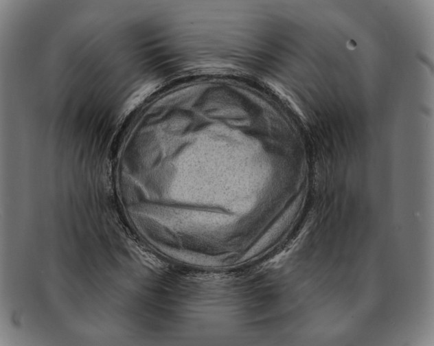 X0000091310970200708311353