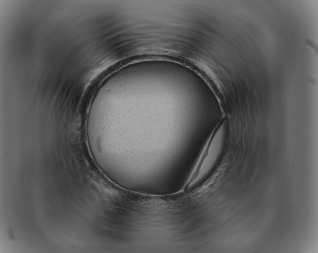 X0000091310971200708311353