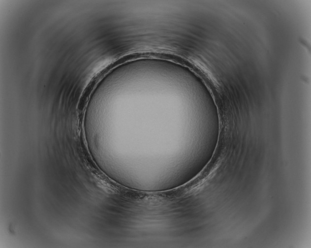 X0000091310974200708311353