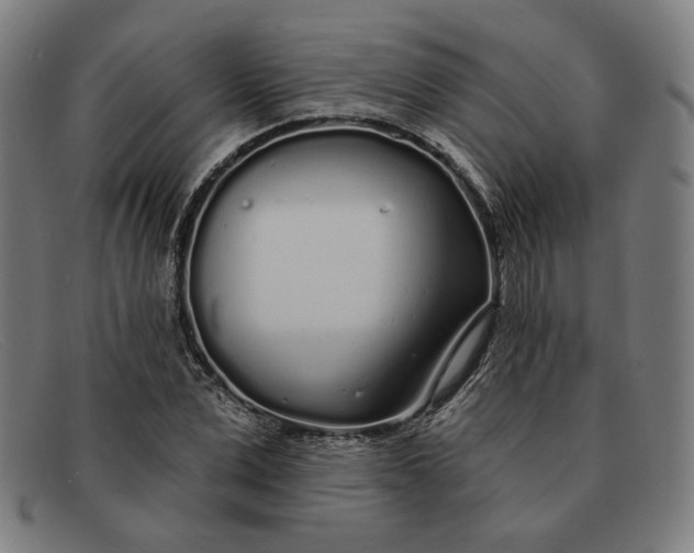 X0000091310975200708311353