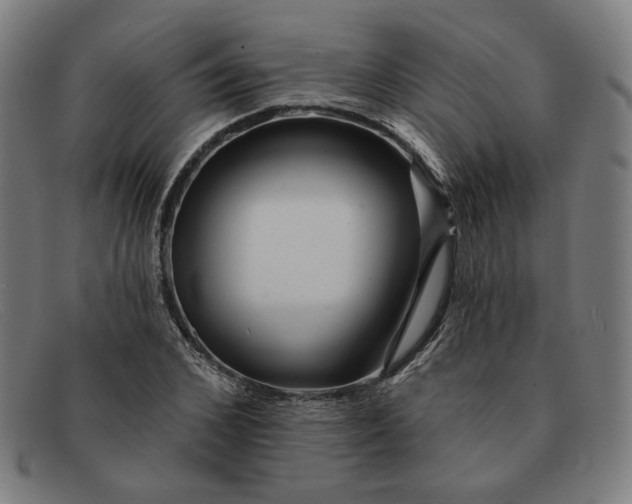 X0000091310976200708311353