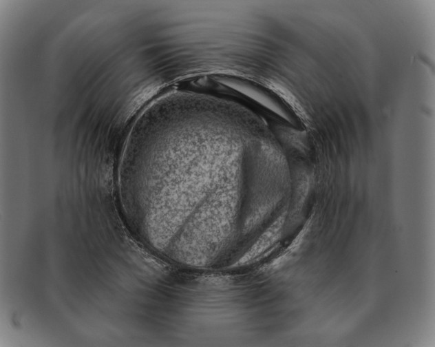 X0000091310977200708311353