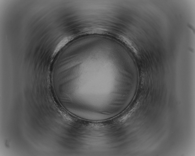 X0000091310978200708311353