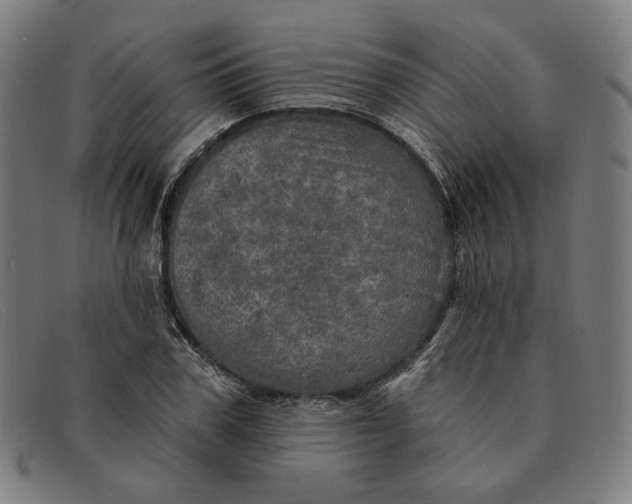 X0000091310979200708311353