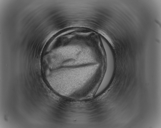 X0000091310980200708311353