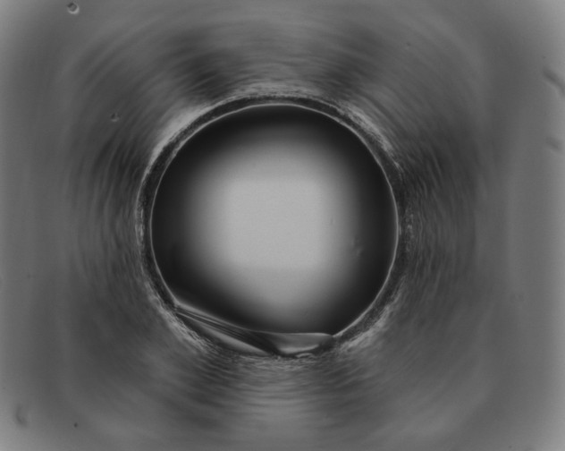 X0000091310981200708311353