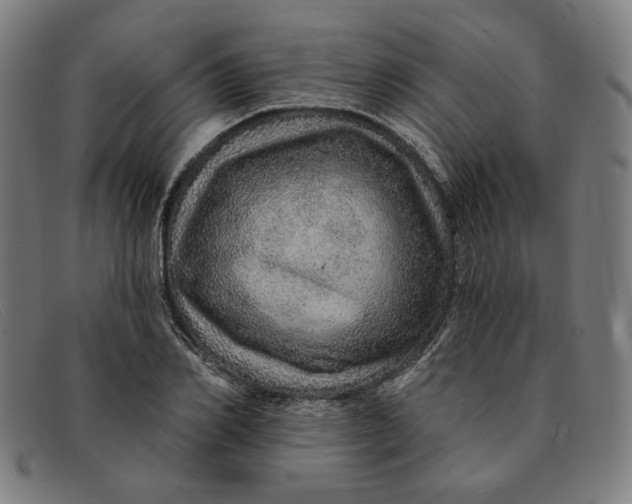 X0000091310982200708311353