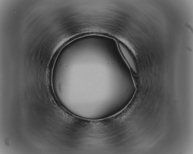 X0000091310983200708311353