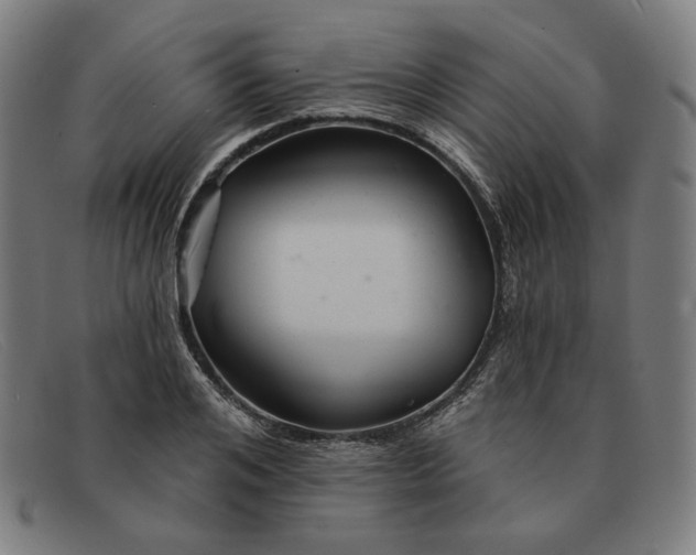 X0000091310984200708311353