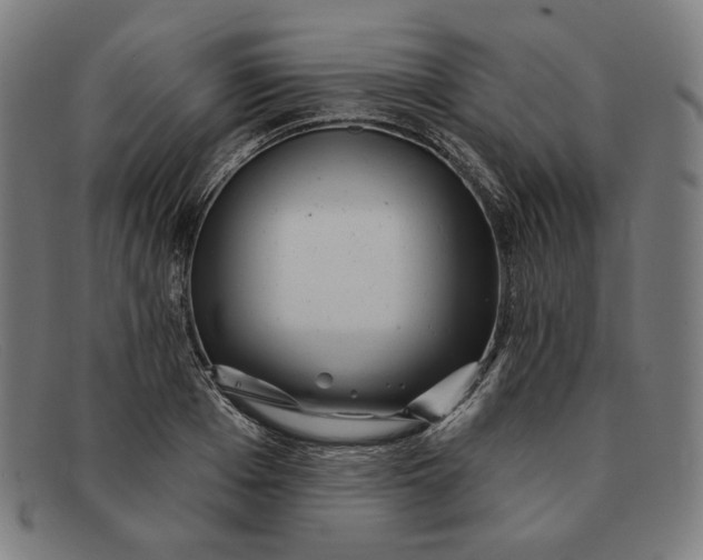 X0000091310985200708311353