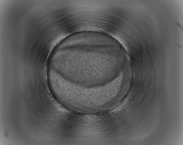 X0000091310987200708311353