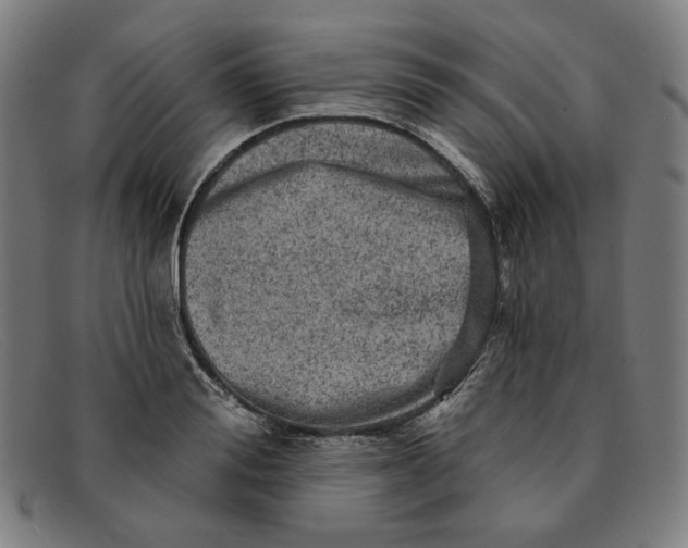 X0000091310988200708311353