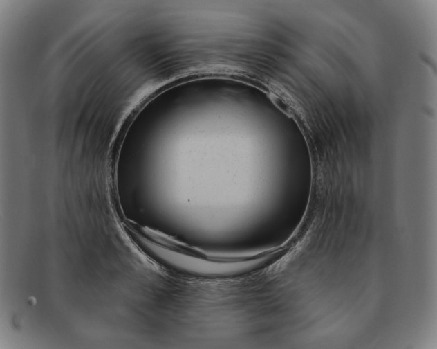 X0000091310989200708311353