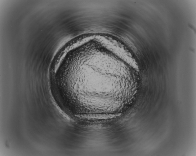 X0000091310990200708311353