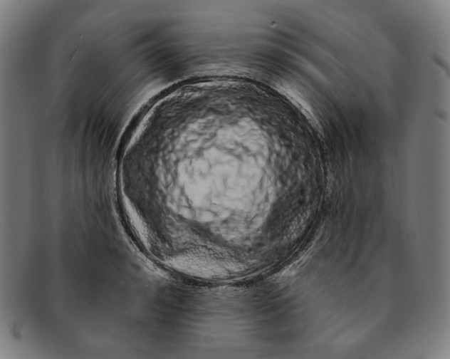 X0000091310992200708311353