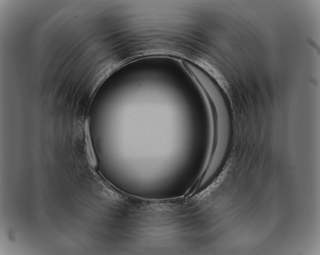 X0000091310993200708311353