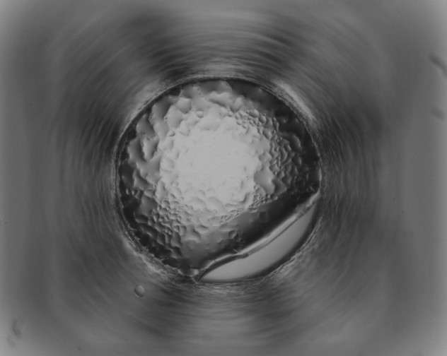 X0000091310994200708311353