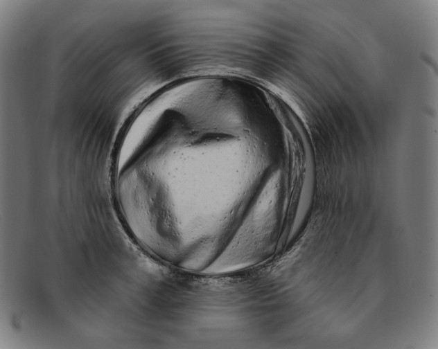 X0000091310995200708311353