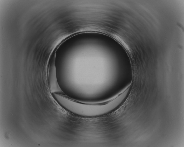 X0000091310996200708311353