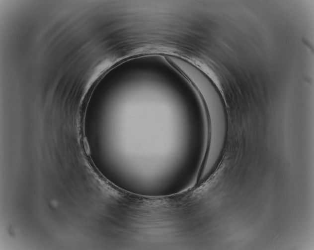 X0000091310997200708311353