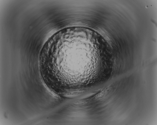 X0000091310998200708311353