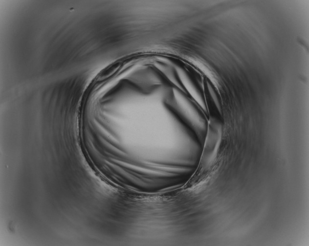 X0000091310999200708311353